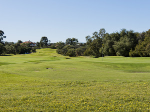 golf course view 2
